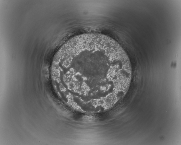 X0000112830699200909181650