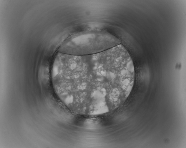 X0000112830700200909181650