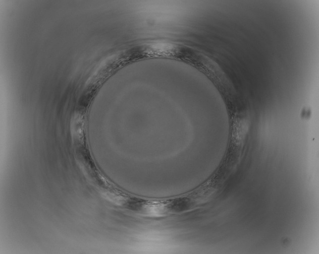 X0000112830701200909181650