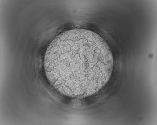 X0000112830703200909181650