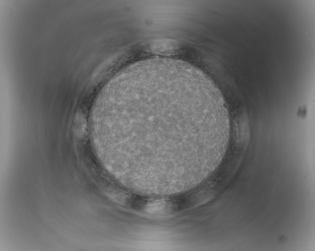 X0000112830705200909181650