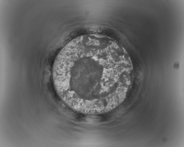 X0000112830707200909181650