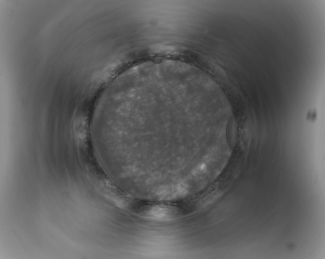 X0000112830708200909181650