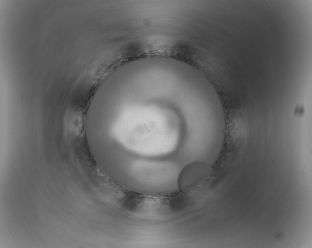 X0000112830709200909181650