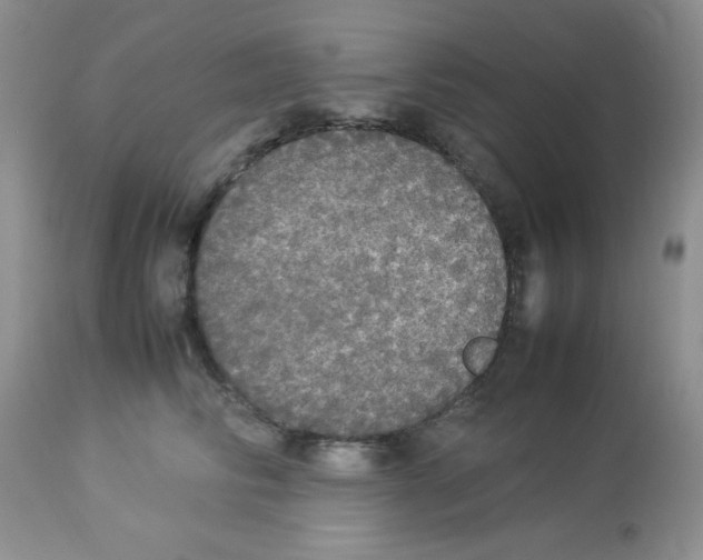 X0000112830710200909181650