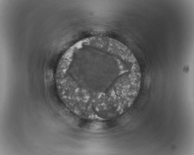 X0000112830711200909181650