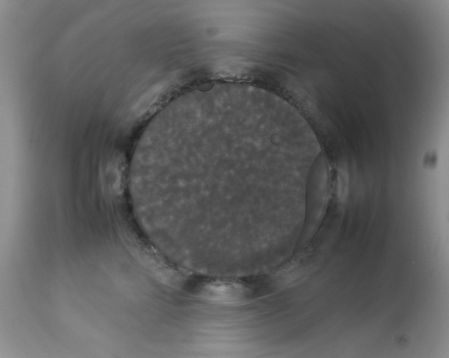 X0000112830712200909181650