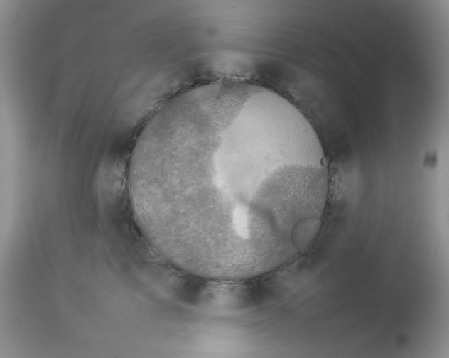 X0000112830713200909181649