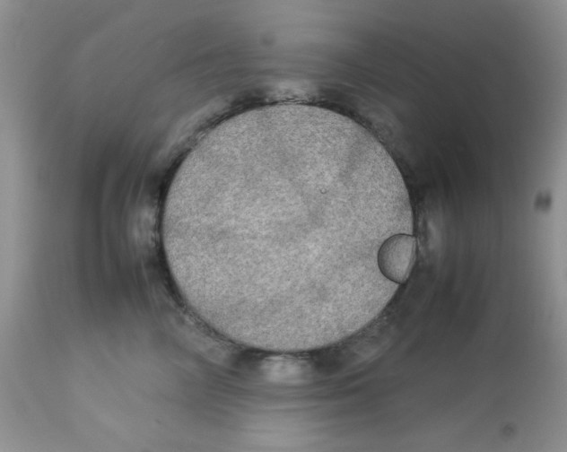 X0000112830714200909181649