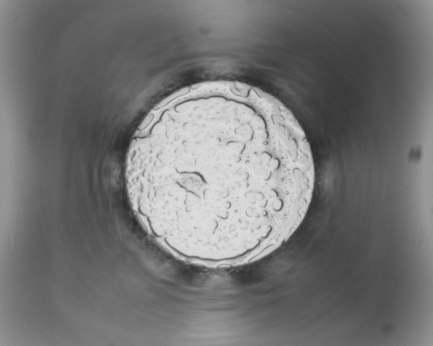 X0000112830715200909181649