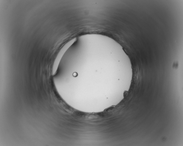 X0000112830716200909181649