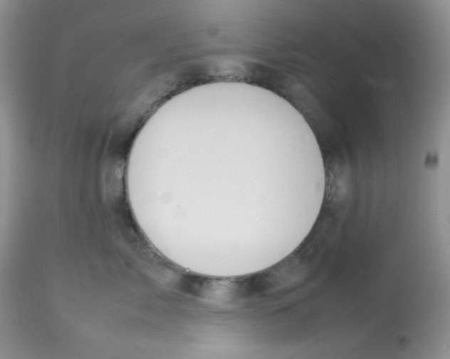 X0000112830717200909181649