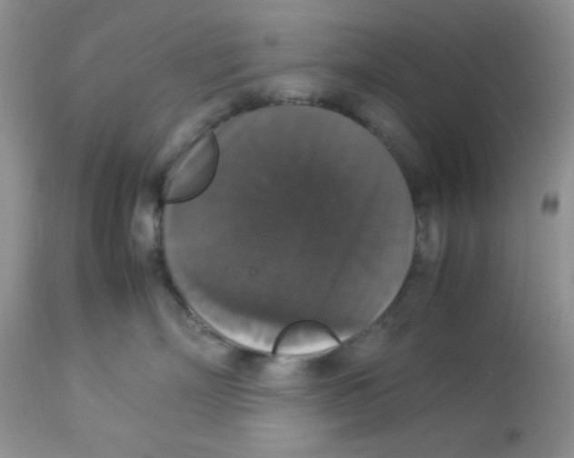 X0000112830718200909181649