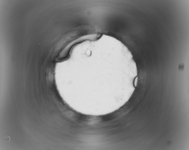 X0000112830719200909181649