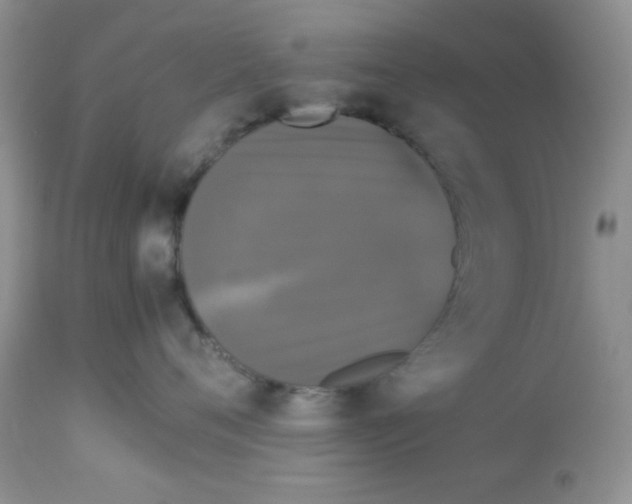 X0000112830720200909181649