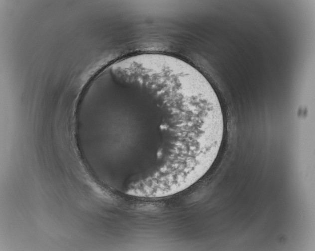 X0000112830721200909181649