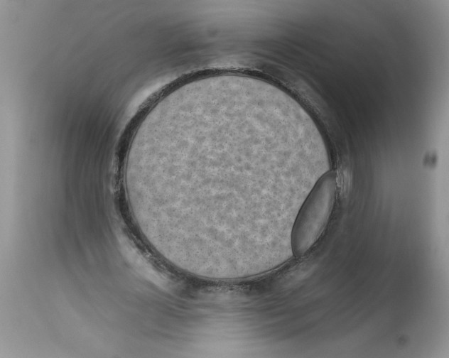 X0000112830724200909181649