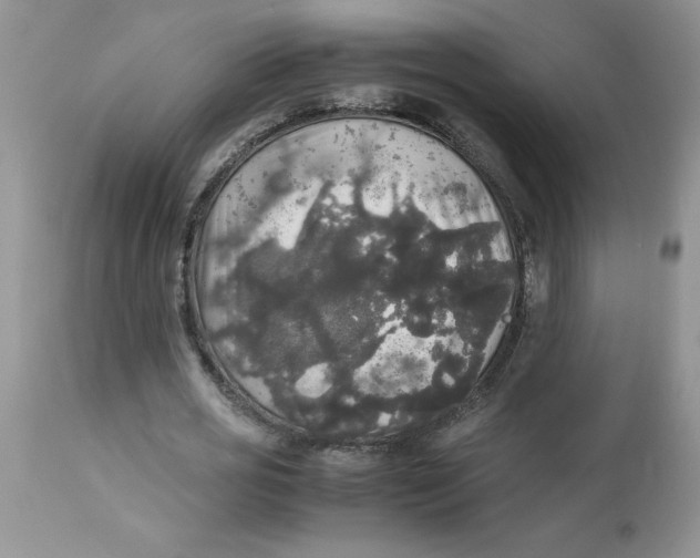 X0000112830725200909181649