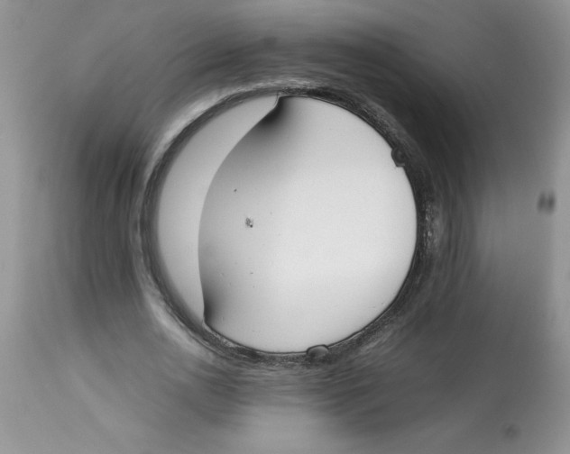 X0000112830726200909181649