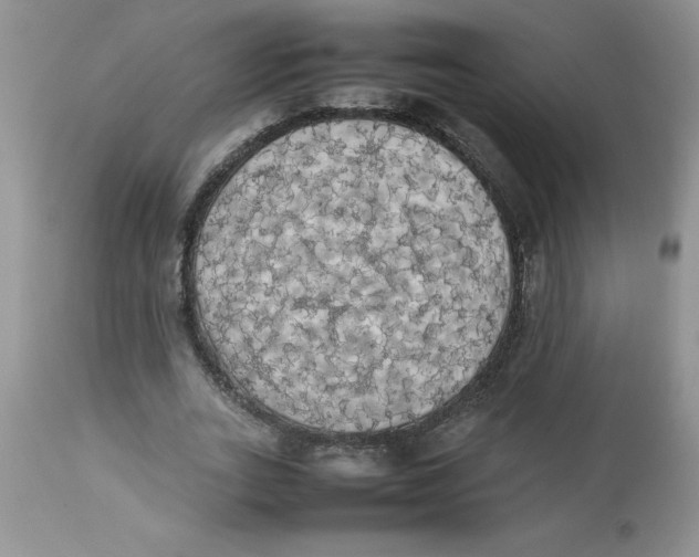 X0000112830727200909181649