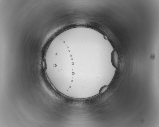 X0000112830728200909181649