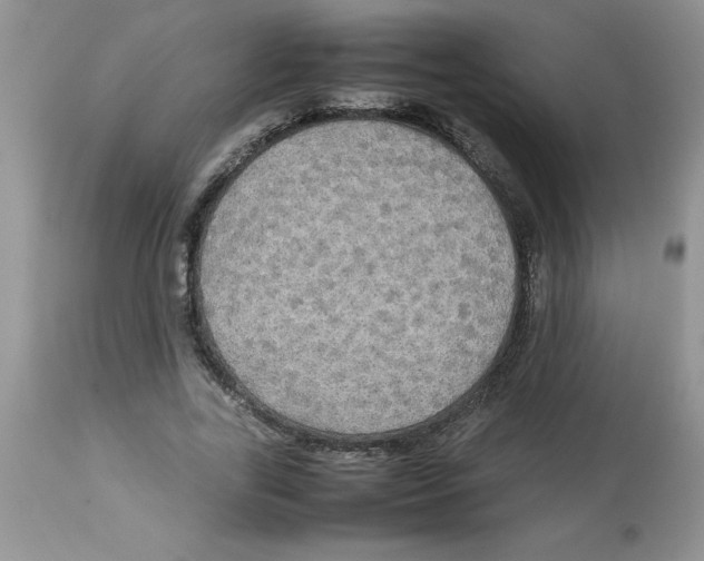 X0000112830731200909181649