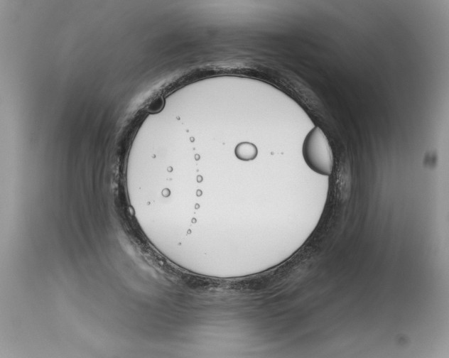 X0000112830732200909181649