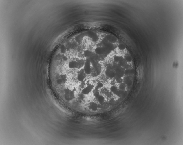 X0000112830733200909181649