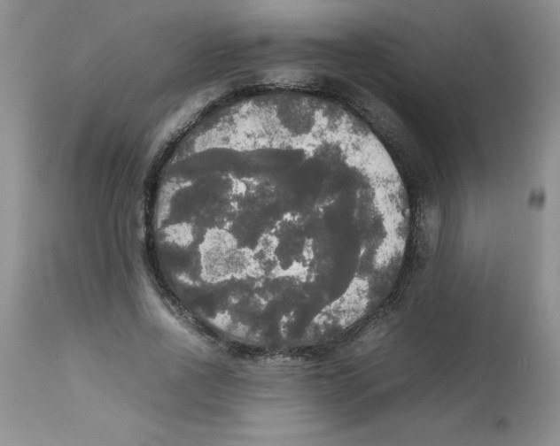 X0000112830734200909181649