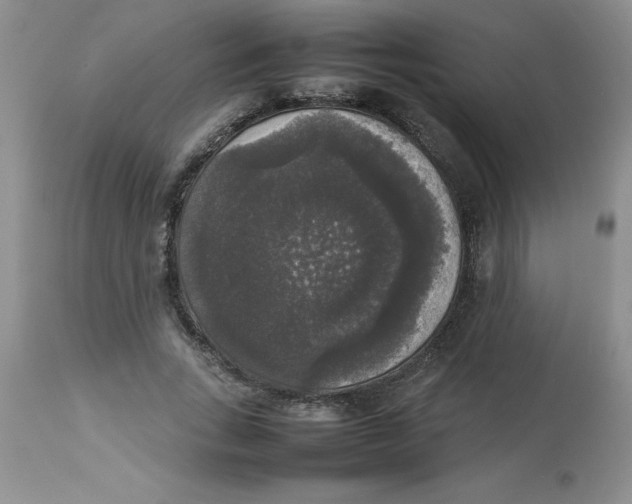 X0000112830735200909181649