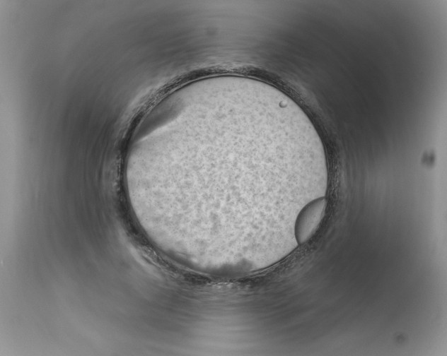 X0000112830736200909181649