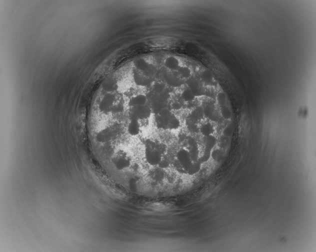 X0000112830737200909181649