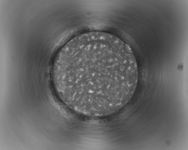 X0000112830738200909181649