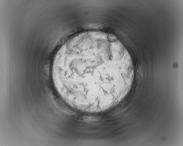 X0000112830739200909181649
