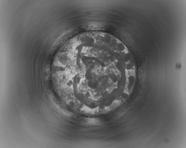 X0000112830741200909181649