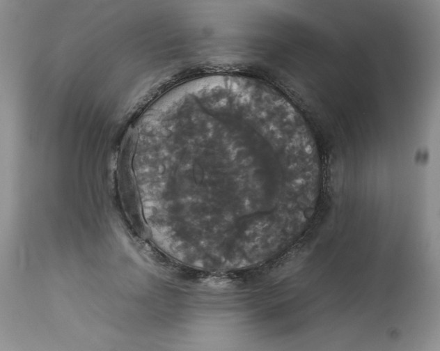 X0000112830742200909181649