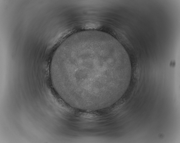 X0000112830743200909181649