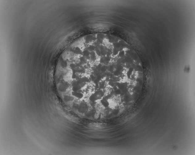 X0000112830745200909181649