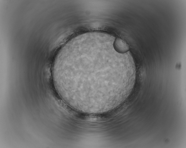 X0000112830746200909181649