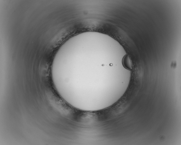 X0000112830750200909181649