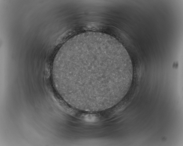 X0000112830751200909181649