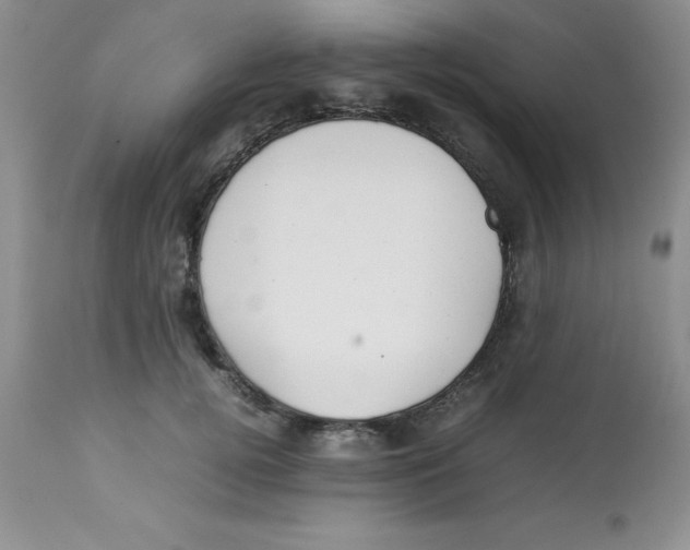 X0000112830752200909181649