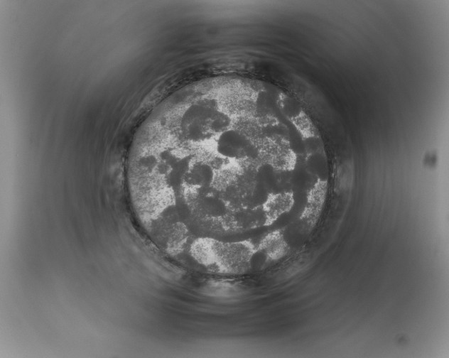 X0000112830753200909181649