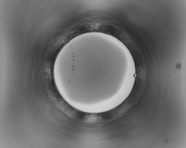 X0000112830754200909181649