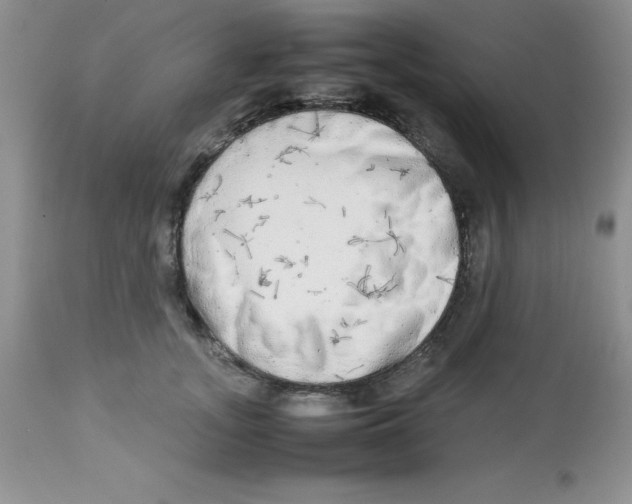 X0000112830755200909181649