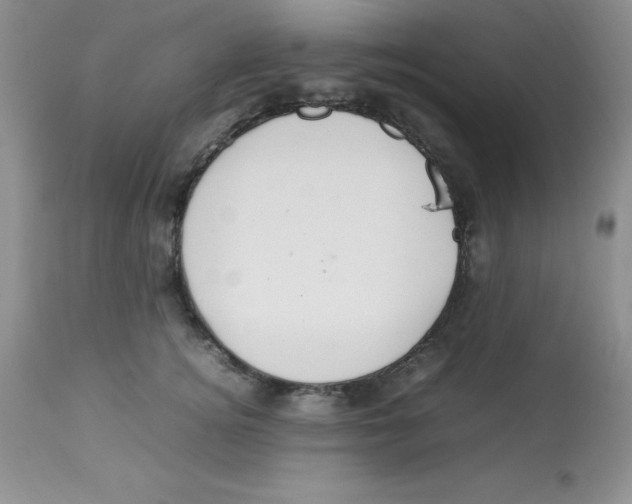 X0000112830756200909181649