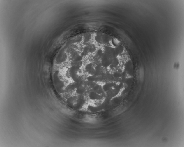 X0000112830757200909181649