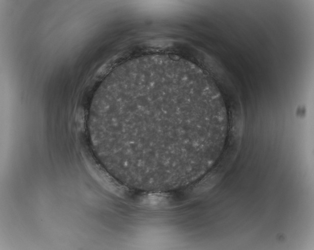 X0000112830758200909181649