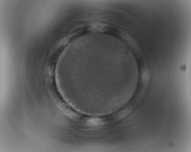 X0000112830759200909181649