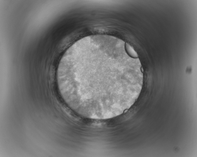 X0000112830760200909181649